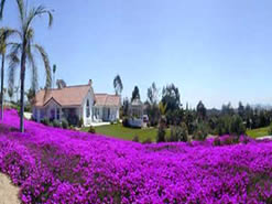 wedding packages in fallbrook.
